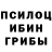 Галлюциногенные грибы Psilocybine cubensis Marrk Parkes