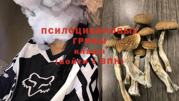 не бодяженный Волоколамск